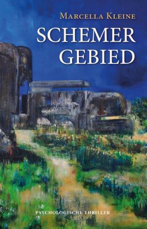 Book cover of Schemergebied