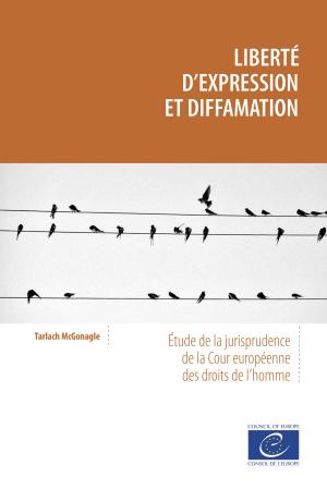 Book cover of Liberté d'expression et diffamation