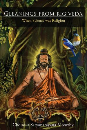 bigCover of the book Gleanings from Rig Veda by 