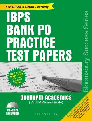Cover of the book IBPS Bank PO Practice Test Papers by Professor John J. Michalczyk