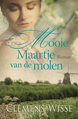 Cover of the book Mooie Maartje van de molen by M.D. Robinson