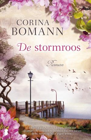 Cover of the book De stormroos by Marcel Vaarmeijer