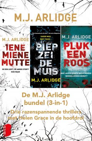 Book cover of De M.J. Arlidge bundel