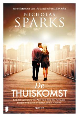 Cover of the book De thuiskomst by Deborah Davis