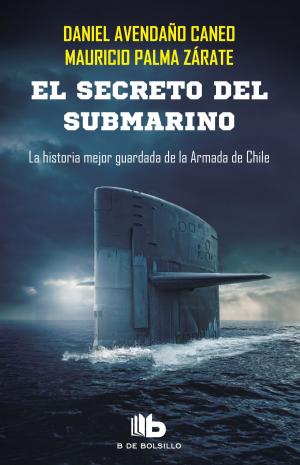 Cover of the book El secreto del submarino by Hernán Rivera Letelier