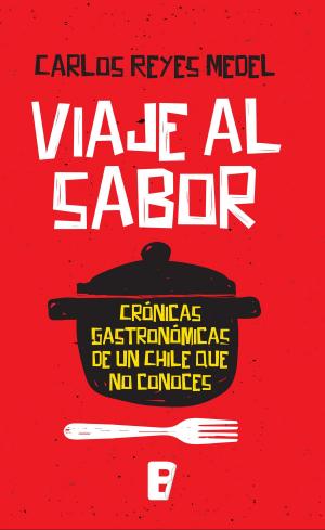 bigCover of the book Viaje Al Sabor. Crónicas Gastronómicas De Un Chile Que No Conoces by 