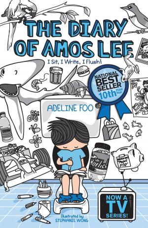 Cover of The Diary of Amos Lee