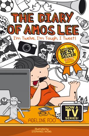 Cover of the book The Diary of Amos Lee by Jeremy Tiang
