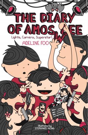 Book cover of The Diary of Amos Lee