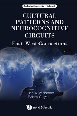 Cover of the book Cultural Patterns and Neurocognitive Circuits by Lygia V Pereira