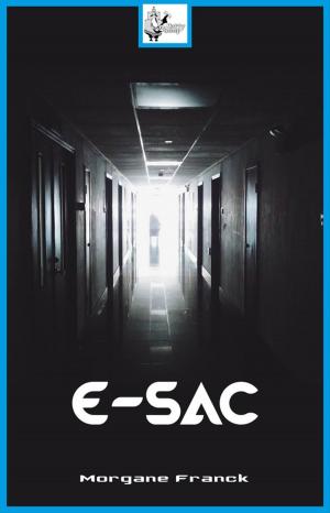 Cover of the book E-SAC by Éric Simard, Frédéric Gobillot, Céline Thomas, Olivier Pérès, Clémence Chanel, Yvan Barbedette, Lalex Andrea, Dvb, O’Scaryne