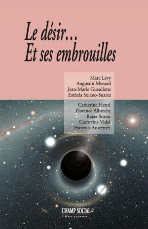 Cover of the book Le désir... Et ses embrouilles by Marc Levy