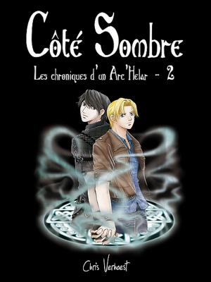 Cover of the book Côté sombre by Chris Verhoest
