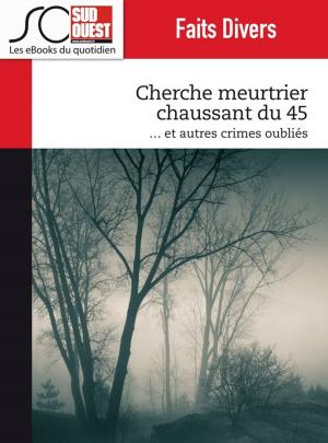 Cover of the book Cherche meurtrier chaussant du 45 by Journal Sud Ouest, Fabien Pont