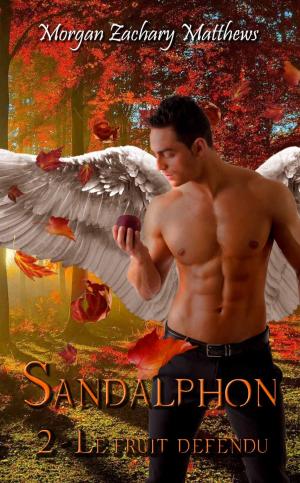 Book cover of Sandalphon Episode 2 Le fruit défendu
