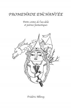 Cover of the book Promenade enchantée by Sergiy Novikov