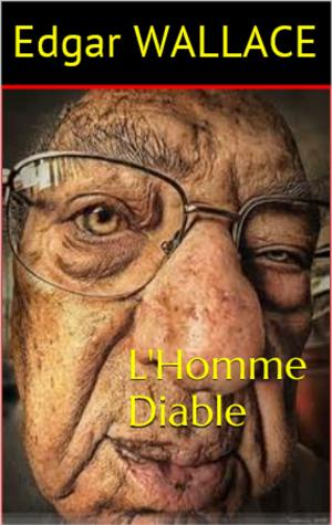 Cover of the book L'Homme Diable by Robert C. Frink