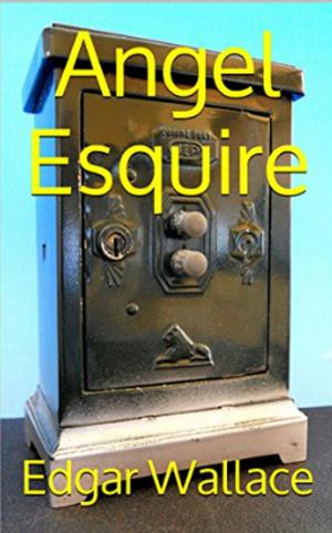 Cover of the book Angel Esquire by Al Place