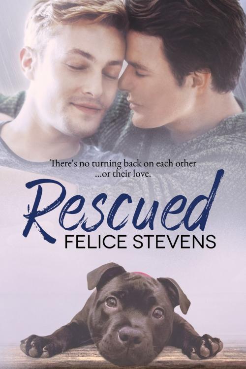 Cover of the book Rescued by Felice Stevens, Felice Stevens