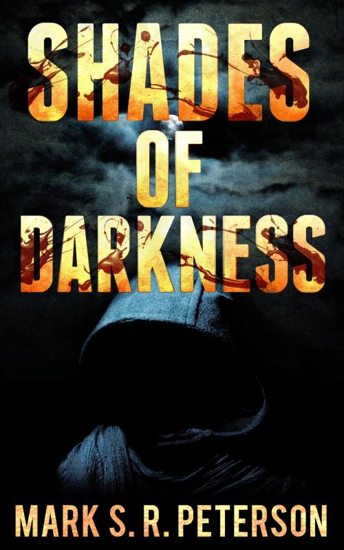 Cover of the book Shades Of Darkness: A Thriller Novel (Central Division Series, Book 4) by Mark S. R. Peterson, Mark S. R. Peterson