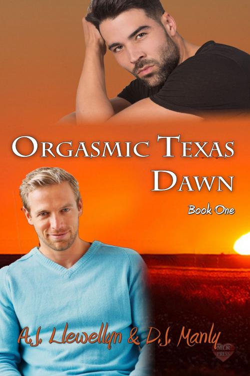 Cover of the book Orgasmic Texas Dawn by A.J. Llewellyn, D.J. Manly, MLR Press