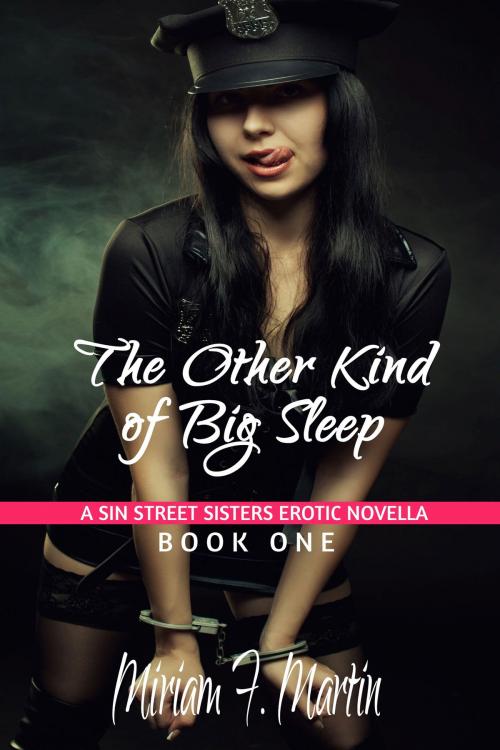 Cover of the book The Other Kind of Big Sleep by Miriam F. Martin, Hermit Muse Publishing