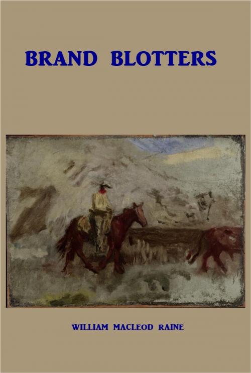 Cover of the book Brand Blotters by William MacLeod Raine, Green Bird Press