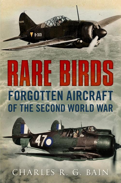 Cover of the book Rare Birds: Forgotten Aircraft of the Second World War by Charles R. G. Bain, Fonthill Media