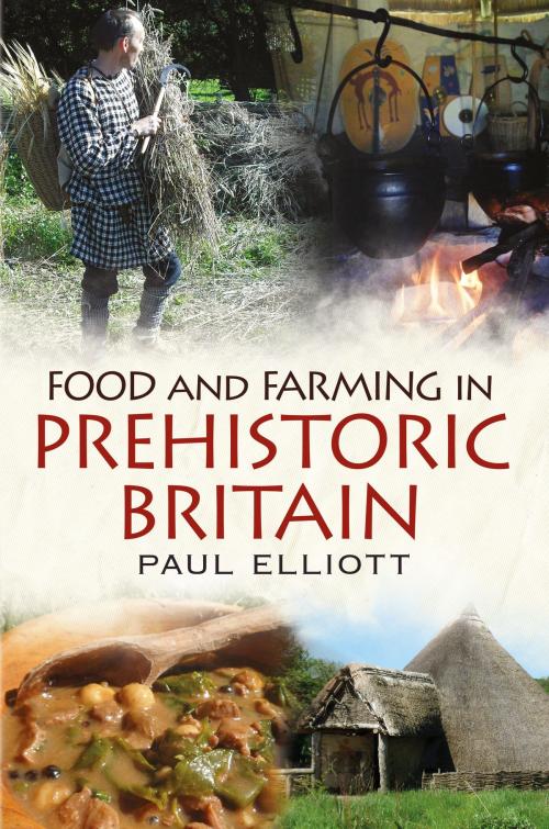 Cover of the book Food and Farming in Prehistoric Britain by Paul Elliott, Fonthill Media