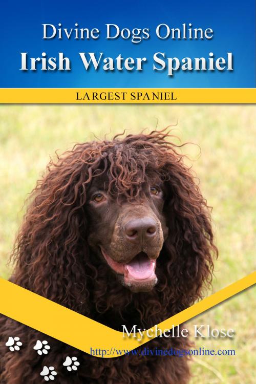 Cover of the book Irish Water Spaniel by Mychelle Klose, Mychelle Klose