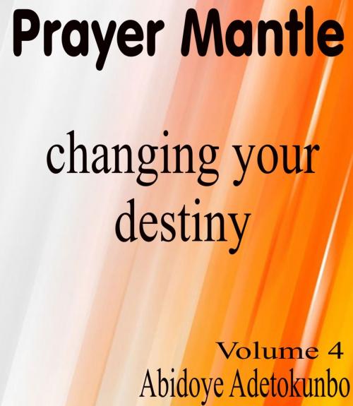 Cover of the book Prayer Mantle by Adetokunbo Abidoye, Adetokunbo