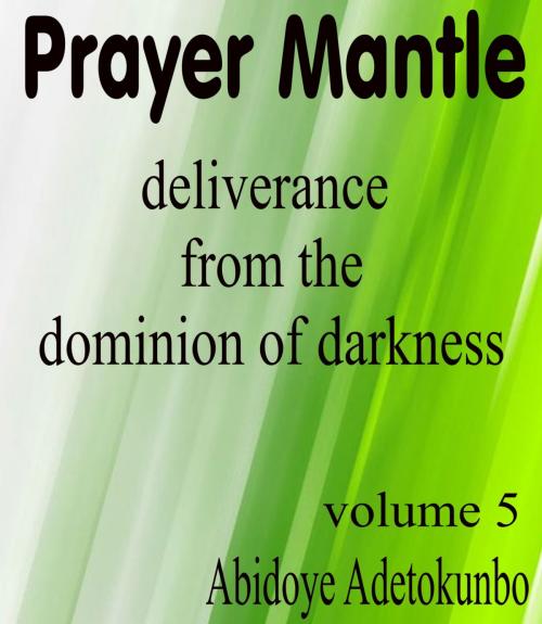 Cover of the book Prayer Mantle by Adetokunbo Abidoye, Adetokunbo Abidoye