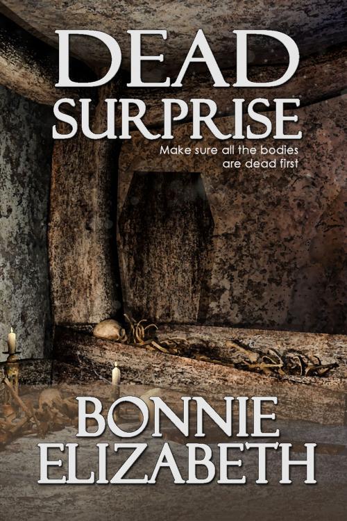 Cover of the book Dead Surprise by Bonnie Elizabeth, My Big Fat Orange Cat Publishing