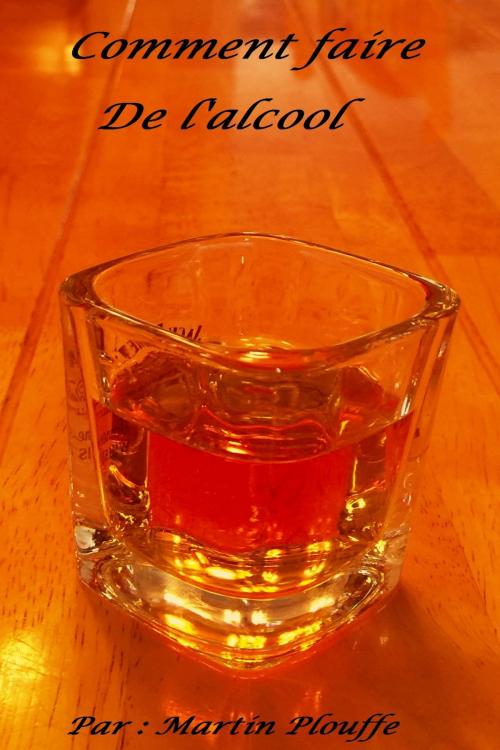 Cover of the book Comment faire de l'alcool by Martin Plouffe, Martin Plouffe