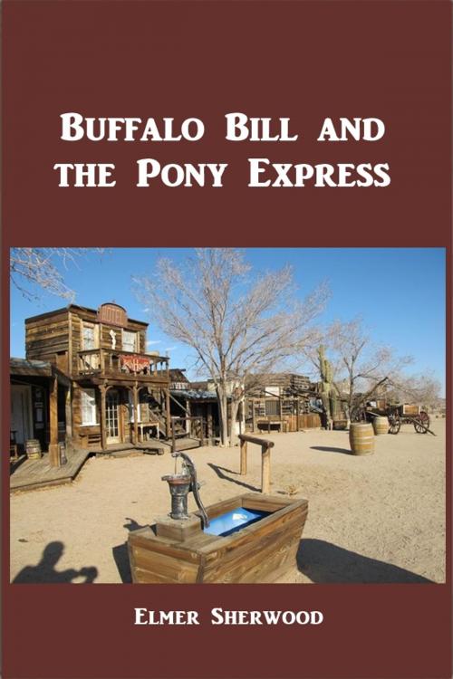 Cover of the book Buffalo Bill and the Pony Express by Elmer Sherwood, Green Bird Press