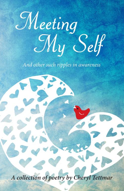 Cover of the book Meeting My Self by CHERYL TETTMAR, Spiderwize