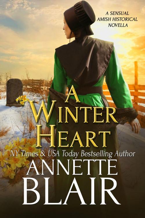 Cover of the book A Winter Heart by Annette Blair, ABA LLC