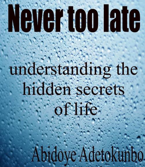 Cover of the book Never too late by Adetokunbo Abidoye, Adetokunbo Abidoye