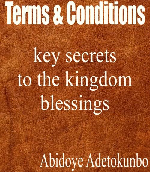 Cover of the book Terms and conditions by Adetokunbo Abidoye, Adetokunbo Abidoye