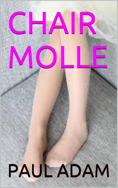 Cover of the book CHAIR MOLLE by PAUL ADAM, patrick goualard