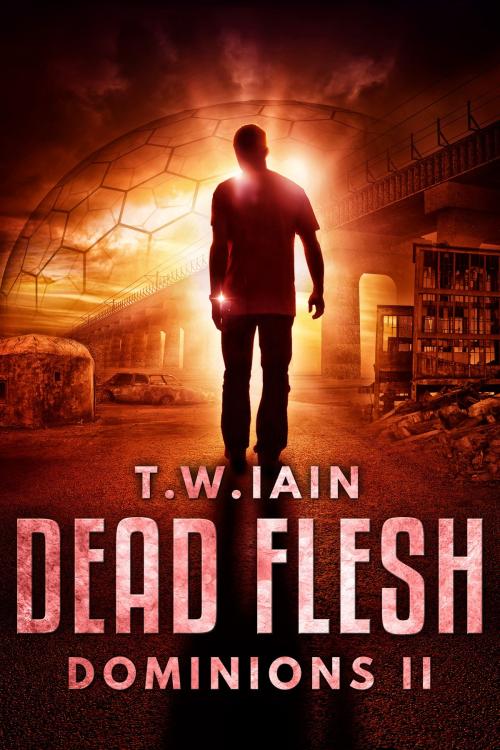 Cover of the book Dead Flesh by TW Iain, TW Iain