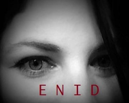 Cover of the book ENID by Brittany Ford, Brittany Ford