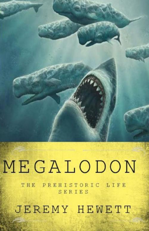 Cover of the book Megalodon by Jeremy Hewett, Jeremy Hewett