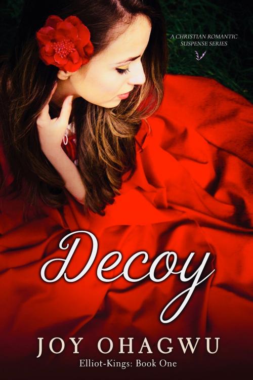 Cover of the book Decoy by Joy Ohagwu, Life Fountain Books