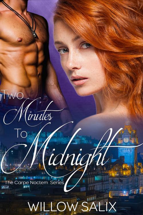 Cover of the book Two Minutes to Midnight by Willow Salix, DragonCat Press