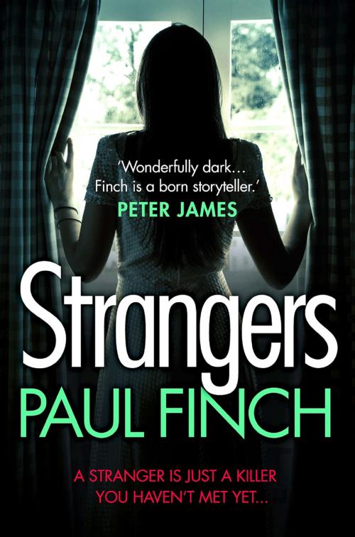 Cover of the book Strangers by Paul Finch, HarperCollins Publishers