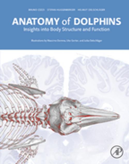 Cover of the book Anatomy of Dolphins by Bruno Cozzi, Stefan Huggenberger, Helmut A Oelschläger, Elsevier Science