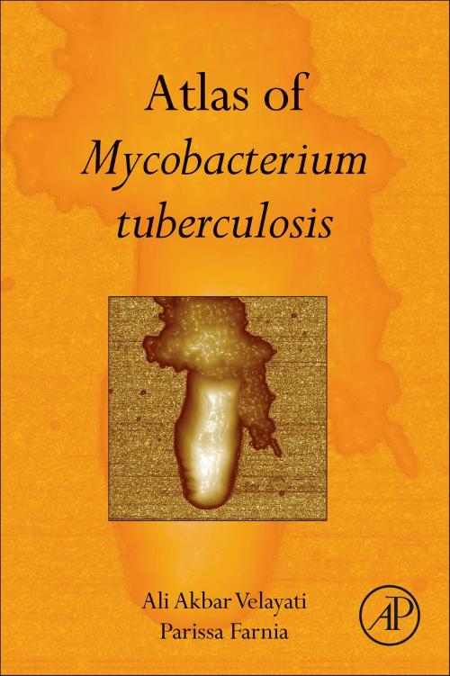 Cover of the book Atlas of Mycobacterium Tuberculosis by Ali Akbar Velayati, Parissa Farnia, Elsevier Science