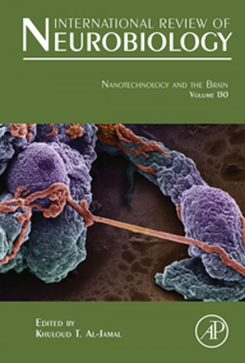 Cover of the book Nanotechnology and the Brain by Khuloud Al-Jamal, Elsevier Science