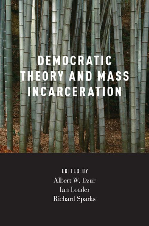Cover of the book Democratic Theory and Mass Incarceration by , Oxford University Press